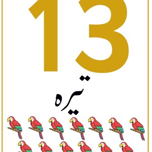 K&ouml;nnte beinhalten: Eine rechteckige Lernkarte mit der gro&szlig;en goldenen Zahl 13 oben, dem Wort "تیرہ" in schwarzer arabischer Schrift darunter und dreizehn farbenfrohen Illustrationen von roten, gr&uuml;nen und blauen Papageien, die auf braunen &Auml;sten sitzen.