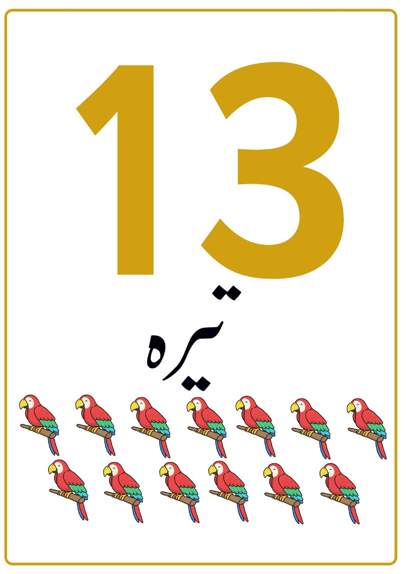 K&ouml;nnte beinhalten: Eine rechteckige Lernkarte mit der gro&szlig;en goldenen Zahl 13 oben, dem Wort "تیرہ" in schwarzer arabischer Schrift darunter und dreizehn farbenfrohen Illustrationen von roten, gr&uuml;nen und blauen Papageien, die auf braunen &Auml;sten sitzen.