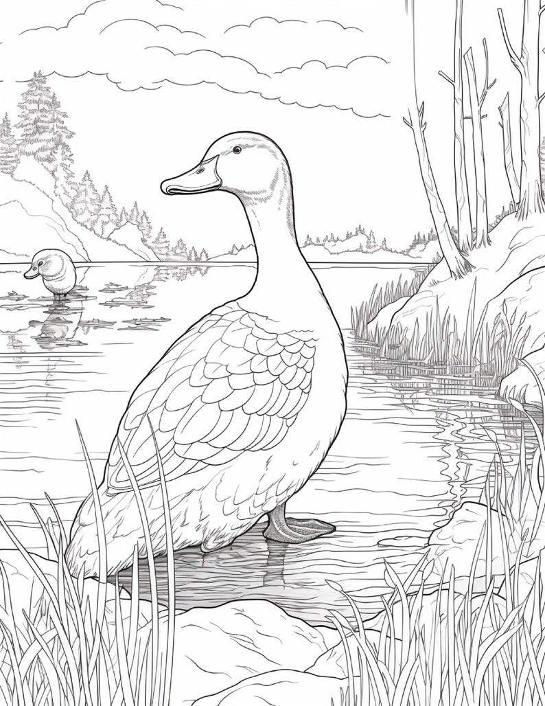K&ouml;nnte beinhalten: Eine schwarz-wei&szlig;e Malvorlage mit der Illustration einer gro&szlig;en Ente, die im flachen Wasser an einem felsigen Ufer steht. Im Hintergrund schwimmt eine kleinere Ente im See, umgeben von B&auml;umen, hohem Gras und einem bew&ouml;lkten Himmel.