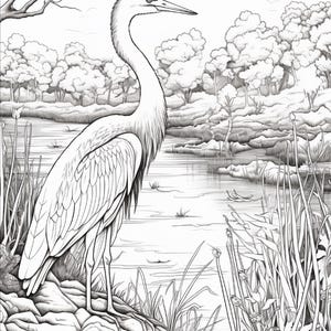 K&ouml;nnte beinhalten: Eine schwarz-wei&szlig;e Strichzeichnung eines gro&szlig;en Reihers, der auf einem felsigen Ufer an einem ruhigen Fluss steht. Das Bild zeigt detaillierte Federn am Vogel, hohes Schilf im Vordergrund und einen dichten Wald im Hintergrund.