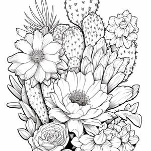 Pode incluir: Uma ilustra&ccedil;&atilde;o de arte linear em preto e branco apresentando um grupo de v&aacute;rios cactos e suculentas. O desenho inclui v&aacute;rias flores desabrochando com p&eacute;talas detalhadas, paletas de cactos espinhosas e folhas de suculentas em camadas.