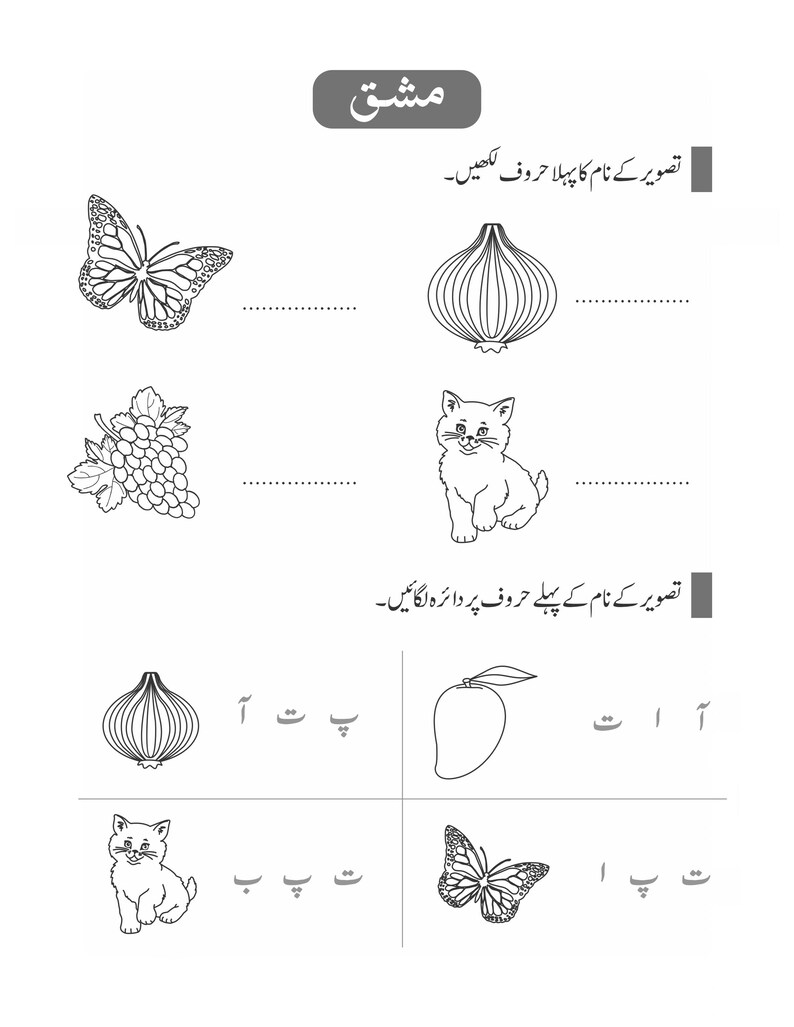 Peut inclure: Une feuille d'exercices &eacute;ducative en noir et blanc pr&eacute;sentant des dessins au trait d'un papillon, d'un oignon, d'une grappe de raisin et d'un chaton. La page inclut des instructions en ourdou et des lignes pour &eacute;crire, avec des exercices.