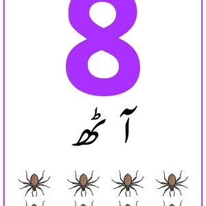 K&ouml;nnte beinhalten: Eine rechteckige Lernkarte mit einer gro&szlig;en violetten Zahl 8 oben, gefolgt vom Urdu-Wort f&uuml;r acht in schwarzer Schrift und acht kleinen braunen Spinnenillustrationen, die in zwei Reihen zu je vier am unteren Rand angeordnet sind.