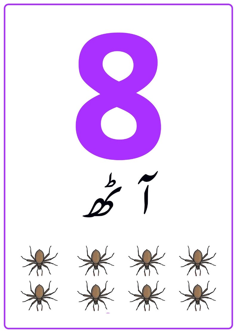 K&ouml;nnte beinhalten: Eine rechteckige Lernkarte mit einer gro&szlig;en violetten Zahl 8 oben, gefolgt vom Urdu-Wort f&uuml;r acht in schwarzer Schrift und acht kleinen braunen Spinnenillustrationen, die in zwei Reihen zu je vier am unteren Rand angeordnet sind.