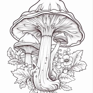 May include: A black and white line art illustration featuring three mushrooms of varying sizes. The central mushroom is the largest, surrounded by smaller mushrooms and detailed foliage including leaves and small flowers at the base.
