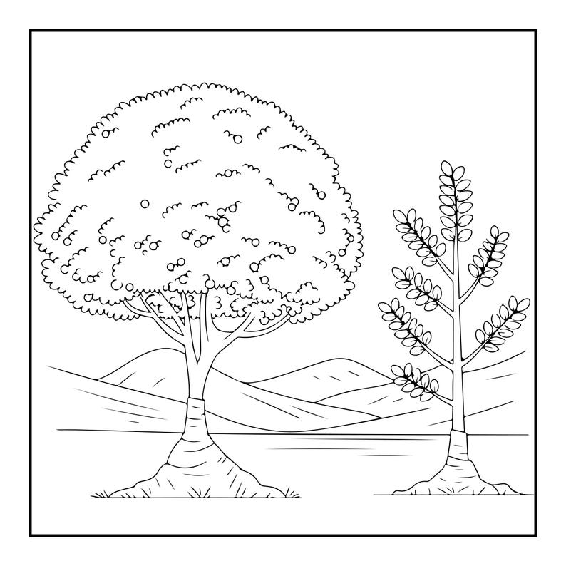 May include: A black and white line art illustration featuring two distinct trees in a landscape. On the left, a large, rounded tree with a dense canopy and small circular fruit. On the right, a slender, younger tree with sparse, oval-shaped leaves.