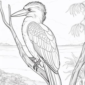 K&ouml;nnte beinhalten: Eine schwarz-wei&szlig;e Strichzeichnung eines Eisvogels, der auf einem Ast sitzt. Der Vogel hat einen langen, spitzen Schnabel, texturierte Federn am Kopf und ein detailliertes Fl&uuml;gelgefieder. Im Hintergrund ist ein ruhiges Gew&auml;sser zu sehen.