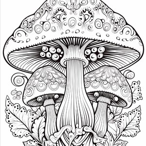 May include: A black and white line art illustration of three mushrooms. The central mushroom is large with a wide cap featuring intricate swirling patterns and gills underneath. Two smaller mushrooms flank the base, surrounded by detailed leaves.
