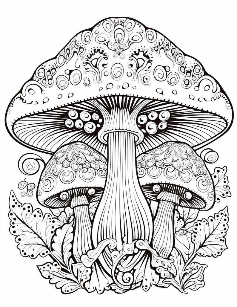 May include: A black and white line art illustration of three mushrooms. The central mushroom is large with a wide cap featuring intricate swirling patterns and gills underneath. Two smaller mushrooms flank the base, surrounded by detailed leaves.