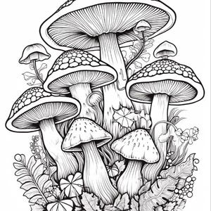May include: A black and white line art illustration featuring a cluster of various mushrooms with detailed caps and stems, surrounded by small leaves, ferns, and foliage, creating a dense botanical composition with clear, bold outlines.