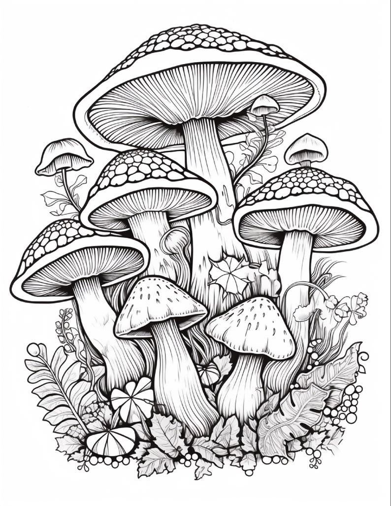 May include: A black and white line art illustration featuring a cluster of various mushrooms with detailed caps and stems, surrounded by small leaves, ferns, and foliage, creating a dense botanical composition with clear, bold outlines.