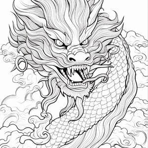 Puede incluir: Una ilustraci&oacute;n de arte lineal en blanco y negro de un drag&oacute;n con una melena detallada y fluida, dientes afilados y un cuerpo largo y escamoso. La criatura est&aacute; rodeada de patrones de nubes arremolinadas que llenan el fondo de la imagen.
