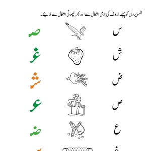 A matching activity worksheet with colorful Urdu letters, center illustrations of birds and food, and black Urdu letters.