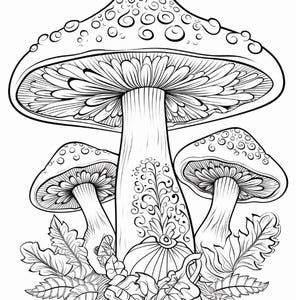 May include: A black and white line art illustration featuring three mushrooms of varying sizes. The central mushroom is the largest, with a wide cap decorated with circular patterns, a thick stalk with intricate scrollwork, and leafy foliage at the base.