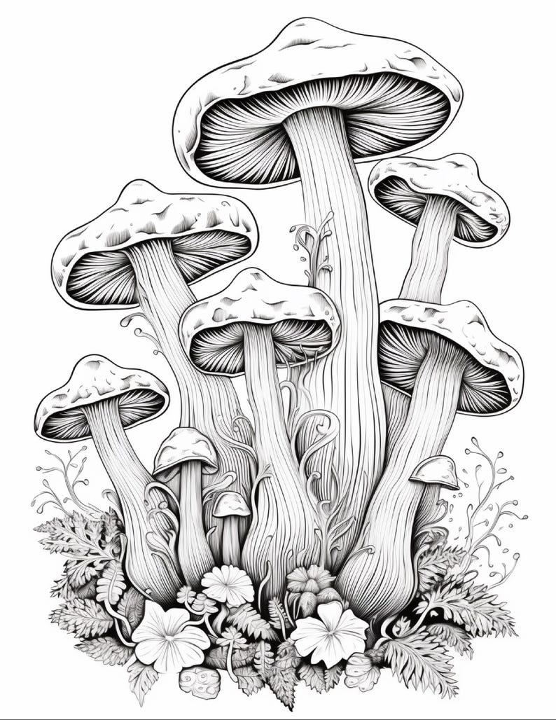 May include: A black and white line art illustration featuring a cluster of mushrooms of varying sizes. The drawing displays detailed gills under the caps, textured stems, and small leafy plants and flowers growing at the base of the fungi.