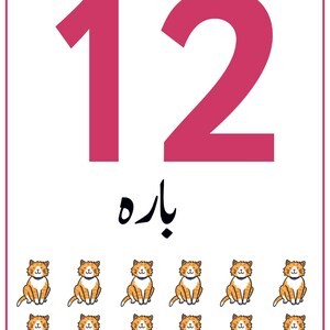 K&ouml;nnte beinhalten: Eine rechteckige Lernkarte mit der gro&szlig;en rosa Zahl 12 oben, gefolgt von dem Wort "باره" in schwarzer Schrift und zw&ouml;lf identischen Illustrationen kleiner orange-wei&szlig;er getigerter Katzen, die in zwei Reihen zu je sechs angeordnet sind.