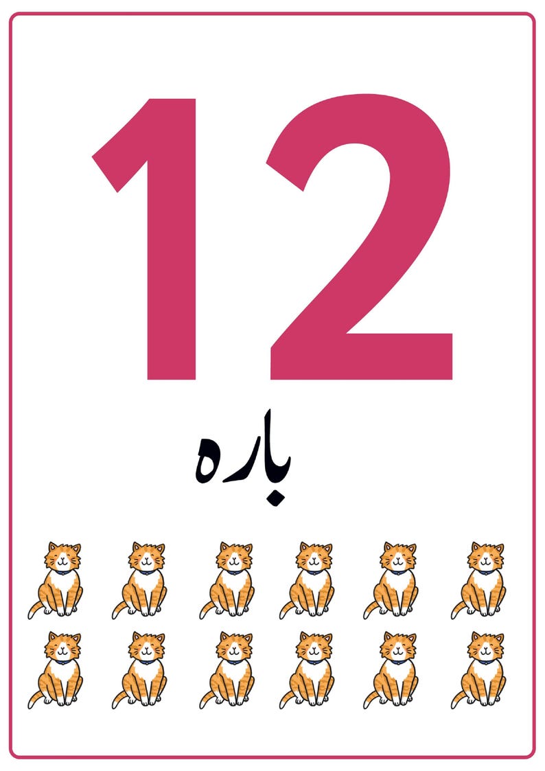 K&ouml;nnte beinhalten: Eine rechteckige Lernkarte mit der gro&szlig;en rosa Zahl 12 oben, gefolgt von dem Wort "باره" in schwarzer Schrift und zw&ouml;lf identischen Illustrationen kleiner orange-wei&szlig;er getigerter Katzen, die in zwei Reihen zu je sechs angeordnet sind.
