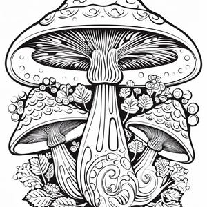 May include: A black and white line art illustration featuring three mushrooms of varying sizes. The central mushroom is the largest, flanked by two smaller mushrooms, all surrounded by detailed foliage, leaves, and small circular berry-like shapes.