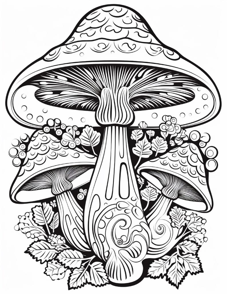 May include: A black and white line art illustration featuring three mushrooms of varying sizes. The central mushroom is the largest, flanked by two smaller mushrooms, all surrounded by detailed foliage, leaves, and small circular berry-like shapes.