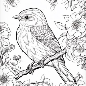May include: A black and white line art illustration featuring a small bird perched on a flowering branch. The bird is shown in profile, surrounded by detailed blossoms and leaves, creating a nature-themed coloring page design with clear outlines.