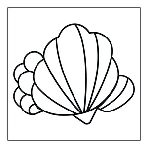 May include: A black and white line art illustration of a seashell. The design features a central fan-shaped shell with distinct vertical ridges and a cluster of rounded, bubble-like shapes attached to the left side, all enclosed in a square border.