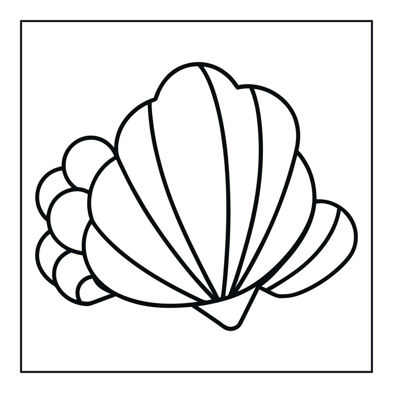 May include: A black and white line art illustration of a seashell. The design features a central fan-shaped shell with distinct vertical ridges and a cluster of rounded, bubble-like shapes attached to the left side, all enclosed in a square border.