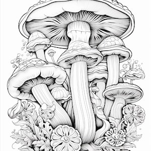 May include: A black and white line art illustration featuring a cluster of various mushrooms with detailed gills, textured caps, and thick stems, surrounded by small circular elements and stylized foliage at the base of the composition.