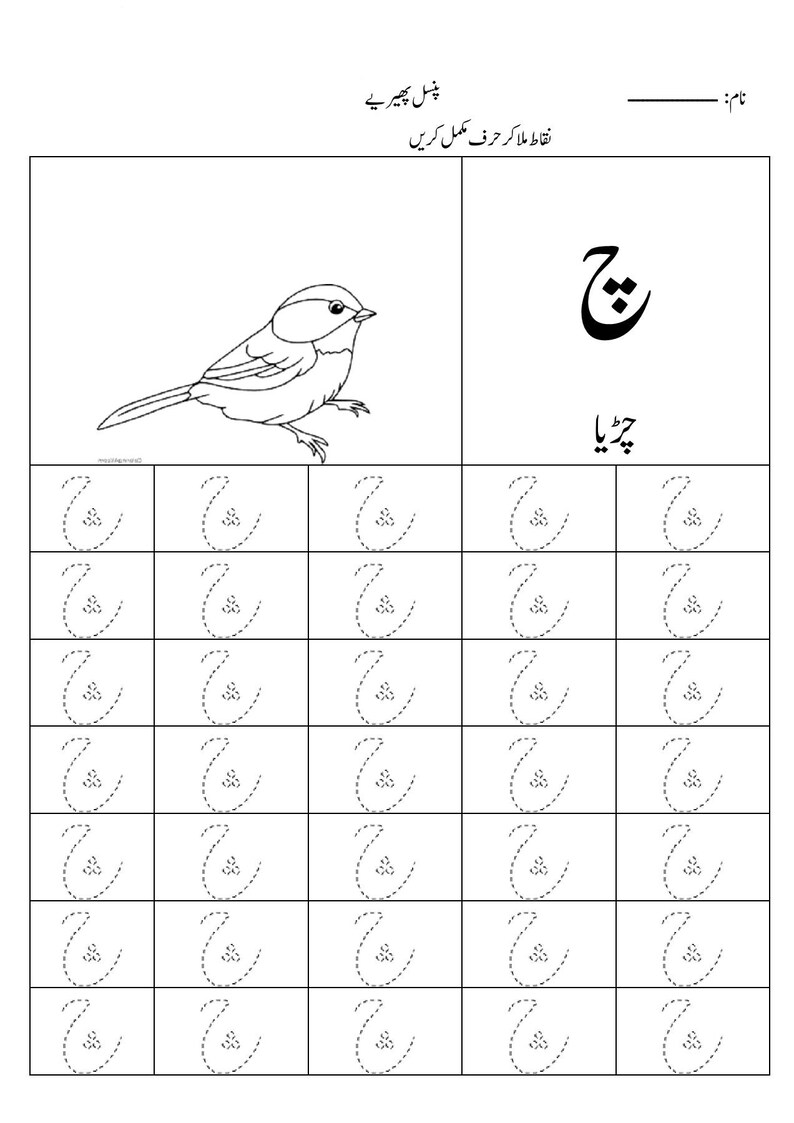 Puede incluir: Una hoja de trabajo educativa en blanco y negro para ni&ntilde;os con un dibujo lineal de un p&aacute;jaro peque&ntilde;o, la letra urdu che, la palabra urdu para p&aacute;jaro y una cuadr&iacute;cula de l&iacute;neas punteadas para trazar la letra che repetidamente.