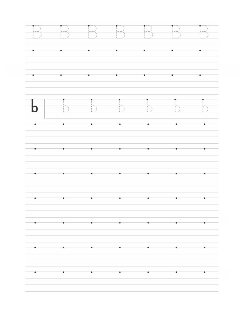 A handwriting worksheet featuring rows of dotted letter b and blank dotted lines.