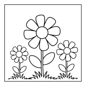 A line drawing of three flowers with large petals and leaves, growing in patches of grass.
