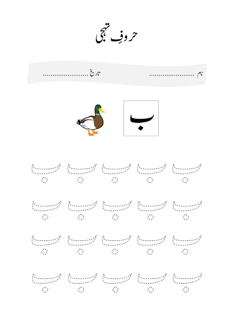 A printable Urdu letter tracing worksheet featuring the letter Ba with an image of a duck and dotted practice rows.