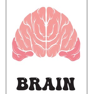A flashcard showing a pink illustrated brain above the bold black text reading BRAIN.