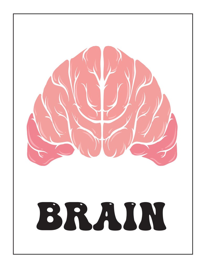 A flashcard showing a pink illustrated brain above the bold black text reading BRAIN.