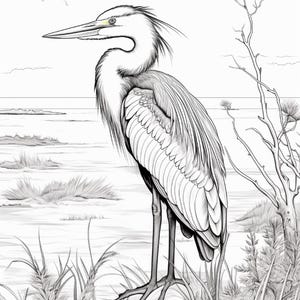 K&ouml;nnte beinhalten: Eine schwarz-wei&szlig;e Strichzeichnung eines gro&szlig;en blauen Reihers, der auf einem Felsen steht. Der Vogel zeigt detaillierte Federstrukturen, einen langen, spitzen Schnabel mit einem dezenten gelben Augenakzent und lange Beine. Die Szene umfasst Sumpfgras und einen Baum.