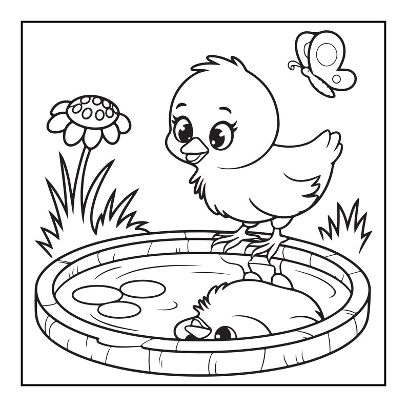 May include: A black and white line art illustration featuring a small chick standing on the edge of a circular birdbath. The chick looks down at its own reflection in the water. A flower and a butterfly are visible in the background scene.