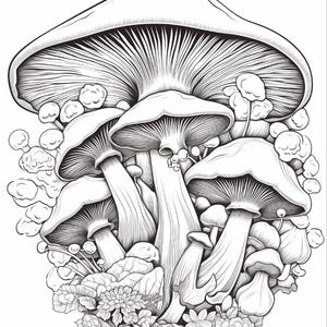 May include: A black and white line art illustration featuring a cluster of mushrooms of varying sizes. The drawing displays detailed gills underneath the mushroom caps, smooth stems, and small rounded foliage at the base of the fungal group.