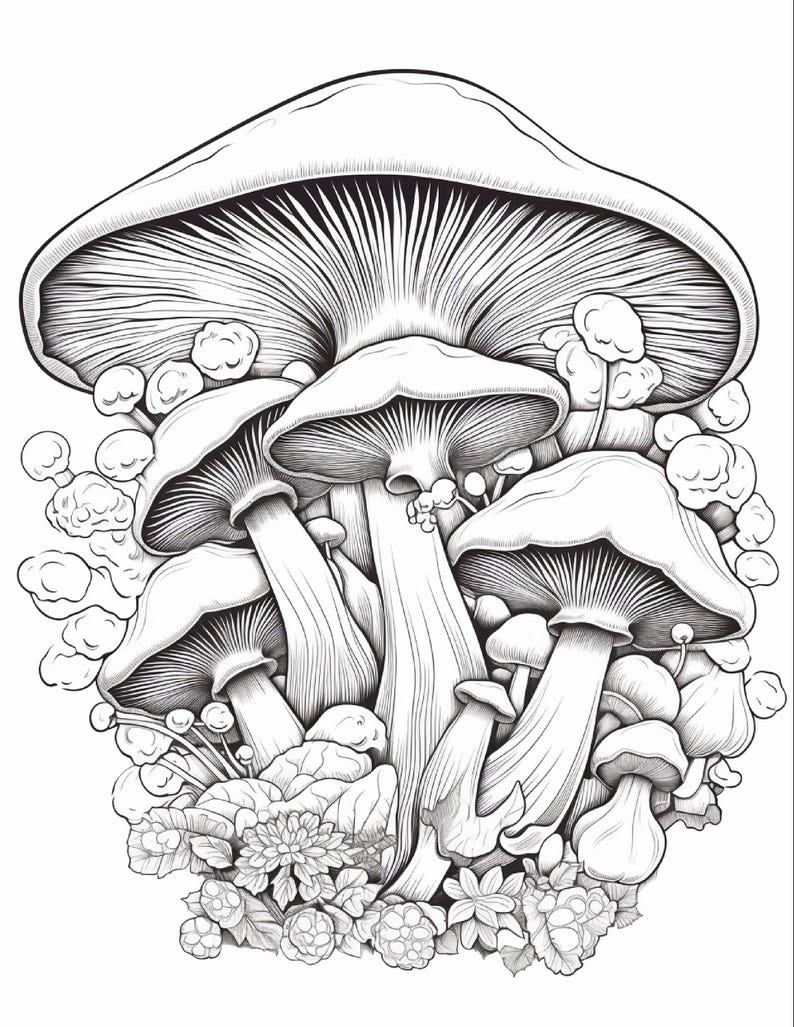 May include: A black and white line art illustration featuring a cluster of mushrooms of varying sizes. The drawing displays detailed gills underneath the mushroom caps, smooth stems, and small rounded foliage at the base of the fungal group.