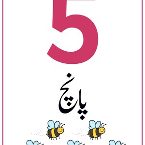 K&ouml;nnte beinhalten: Eine rechteckige Lernkarte mit einer gro&szlig;en magentafarbenen Zahl 5 oben, gefolgt von dem Wort in Urdu-Schrift und f&uuml;nf kleinen Cartoon-Bienen mit gelb-schwarz gestreiften K&ouml;rpern und hellblauen Fl&uuml;geln, die unten angeordnet sind.