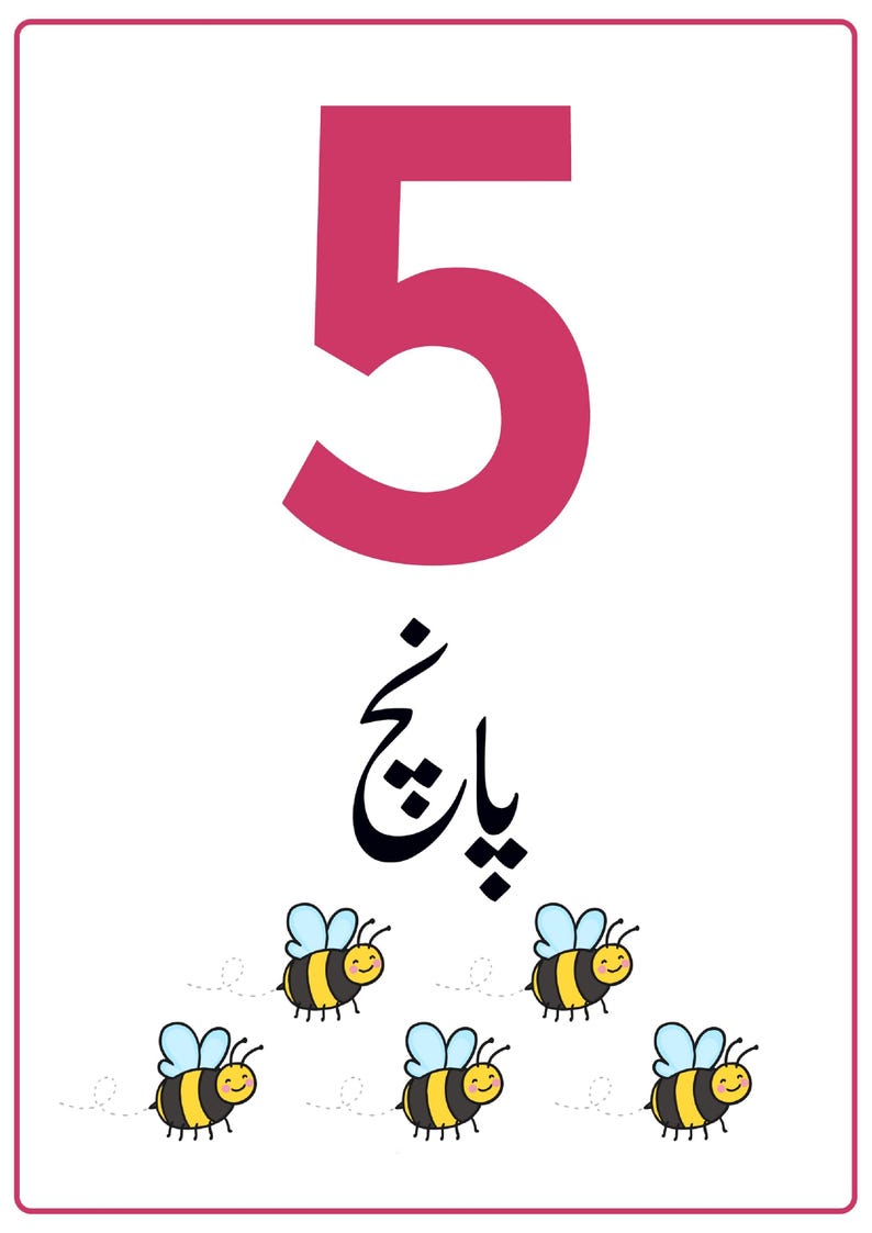 K&ouml;nnte beinhalten: Eine rechteckige Lernkarte mit einer gro&szlig;en magentafarbenen Zahl 5 oben, gefolgt von dem Wort in Urdu-Schrift und f&uuml;nf kleinen Cartoon-Bienen mit gelb-schwarz gestreiften K&ouml;rpern und hellblauen Fl&uuml;geln, die unten angeordnet sind.