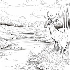 K&ouml;nnte beinhalten: Eine schwarz-wei&szlig;e Malvorlage mit einem Hirsch mit gro&szlig;em Geweih, der an einem grasbewachsenen Flussufer steht. Die Szene zeigt einen flie&szlig;enden Fluss, sanfte H&uuml;gel, einen entfernten Wald und einen Himmel voller flauschiger Wolken.