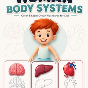 A promotional graphic for human body systems organ flashcards featuring a cartoon boy surrounded by illustrations of a brain, liver, and heart.
