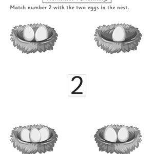 Puede incluir: Una hoja de trabajo educativa en blanco y negro titulada Worksheet 4 (Matching) con la instrucci&oacute;n de unir el n&uacute;mero 2 con los dos huevos en el nido. La p&aacute;gina incluye un n&uacute;mero 2 grande, cuatro ilustraciones de nidos de p&aacute;jaros con huevos y espacios para fecha, observaciones y firmas.