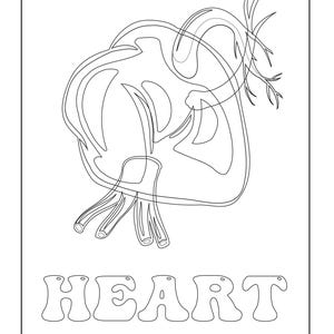 A coloring page showing a black outline of a heart above the outlined text reading HEART.