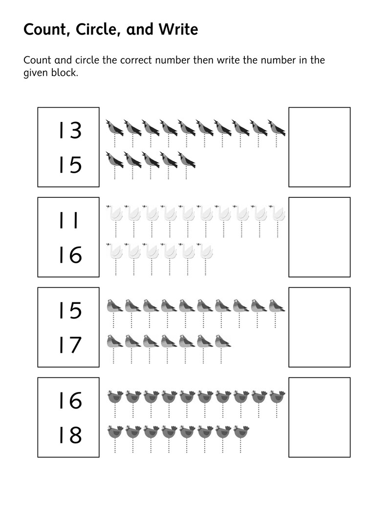 Pu&ograve; includere: Una scheda didattica in bianco e nero intitolata Count, Circle, and Write. Presenta quattro file di esercizi di conteggio con illustrazioni di uccelli e cigni, ciascuna abbinata a due opzioni numeriche e a una casella vuota per la risposta.