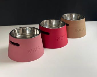 Personalized Elevated Dog Bowl Holder: Healthy Back, Custom Name