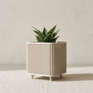 May include: A square, off-white planter with a vertical ribbed texture on all four sides. The planter is supported by four small, tapered feet at the base and contains a small green snake plant with pointed, variegated leaves growing upward.
