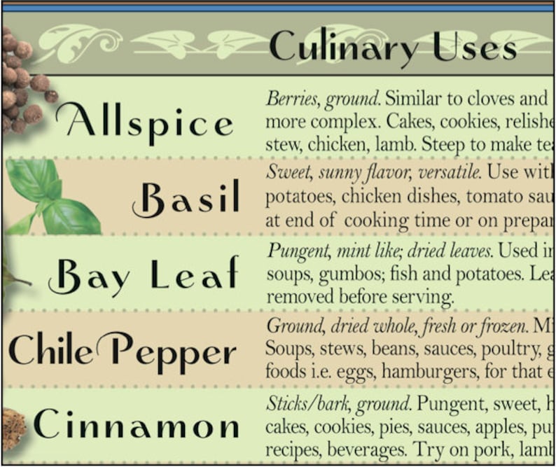 LAMINATED Healing HerbsSpices Kitchen Charts