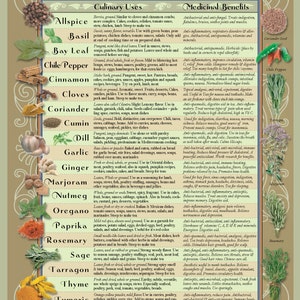 DIGITAL Kitchen Chart: Healing Herbs & Spices