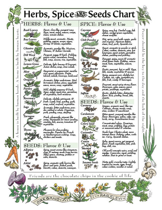 Herbs Chart Pictures
