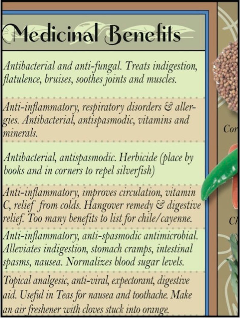 LAMINATED Healing HerbsSpices Kitchen Charts